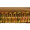10 Yards of Heavy Premium Cut Fringe - Acorn Multi | 10 yard cut